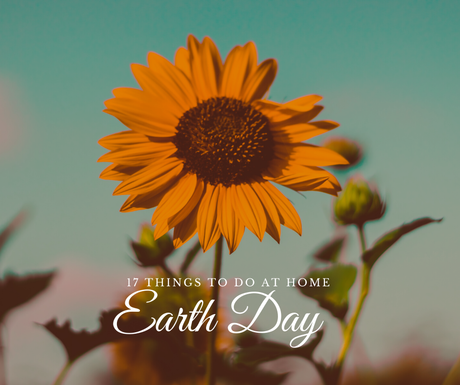 Things to Do on Earth day at home