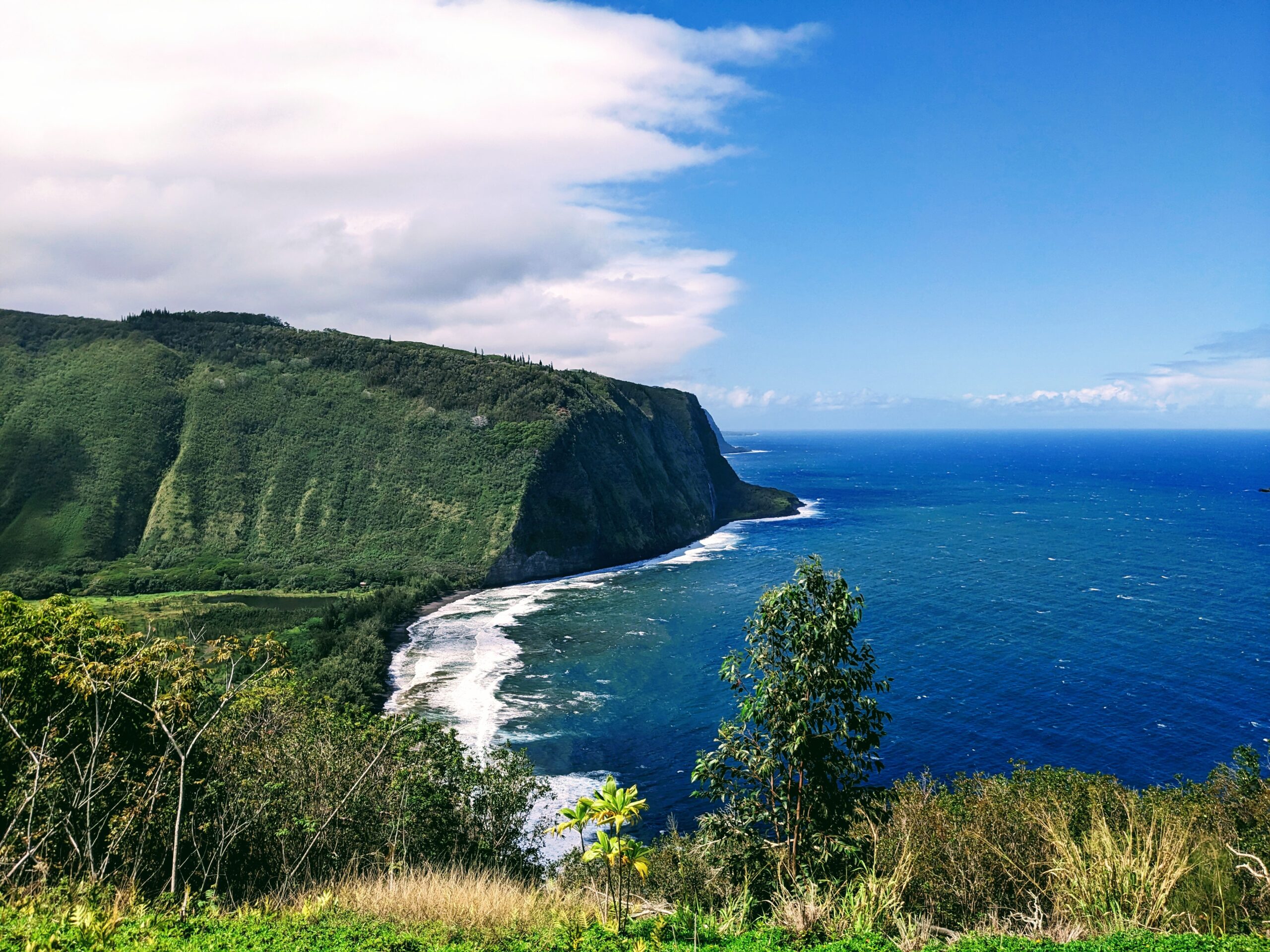 How to Eat Plant-based on the Big Island