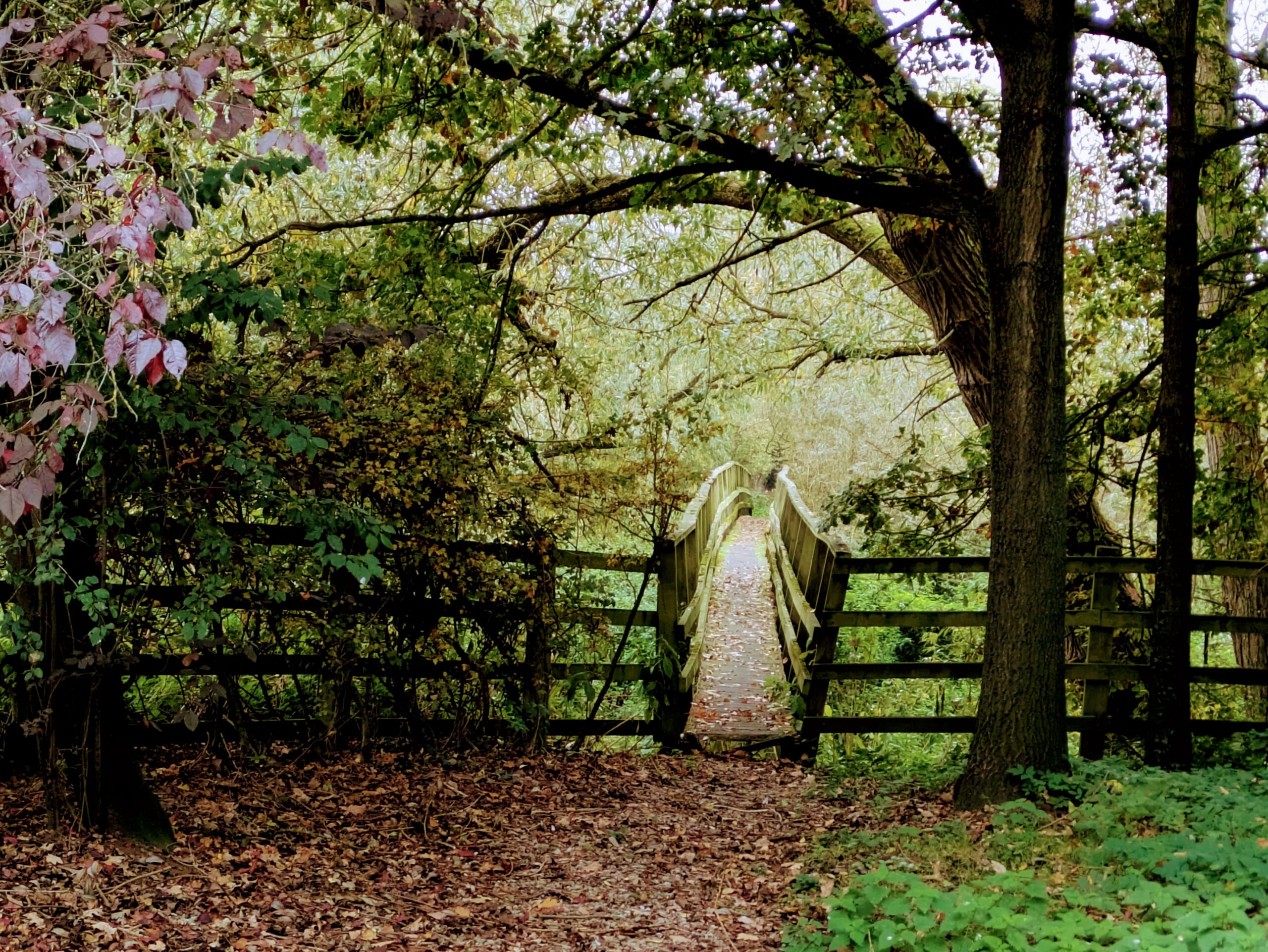 A Gentle Guide for the Season: What Is a Lenten Challenge?