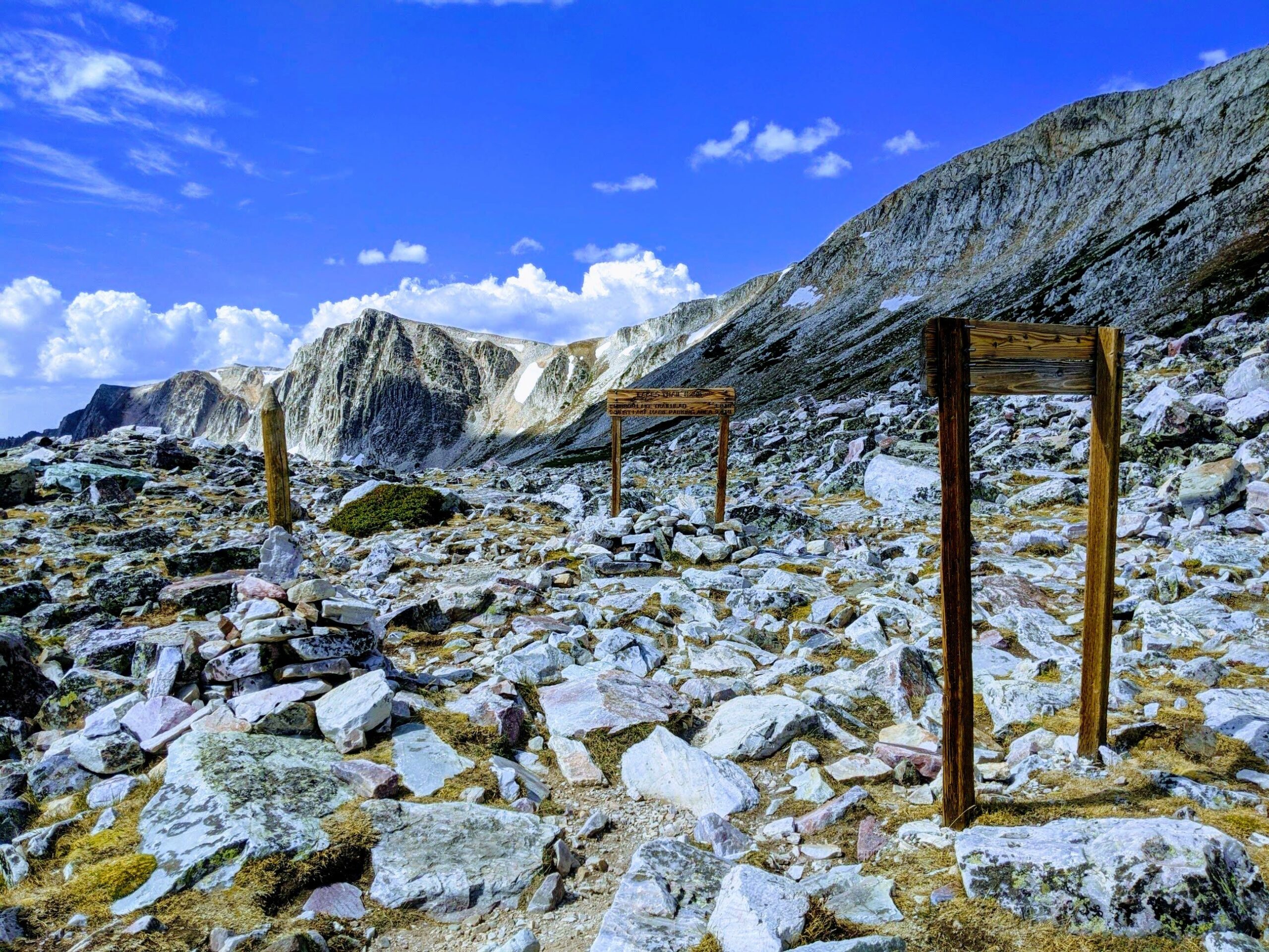 A Gentle Guide for the Lenten Season: The Plant-based Pilgrimage Journal